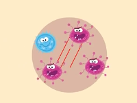 為什么皮膚被碰傷后會又紅又腫